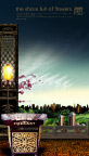 2009地产专家