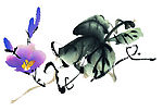 牵牛花