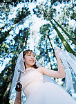 春天之婚纱
