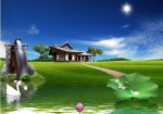 风景