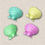 彩色贝壳