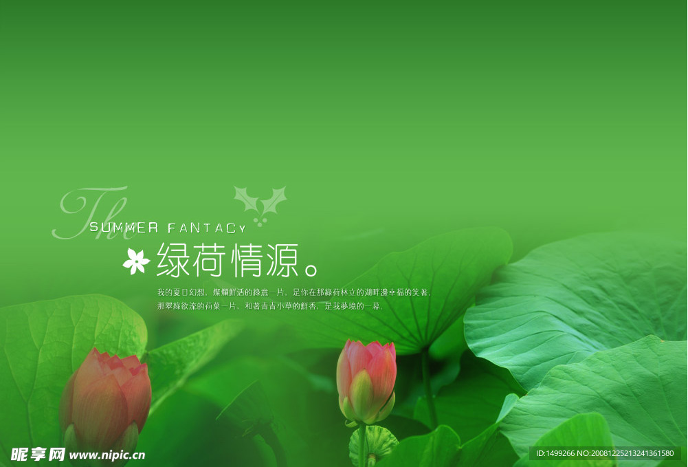 绿荷情缘