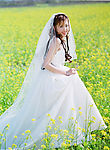 春天之婚纱
