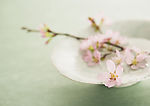 新春贺岁素材
