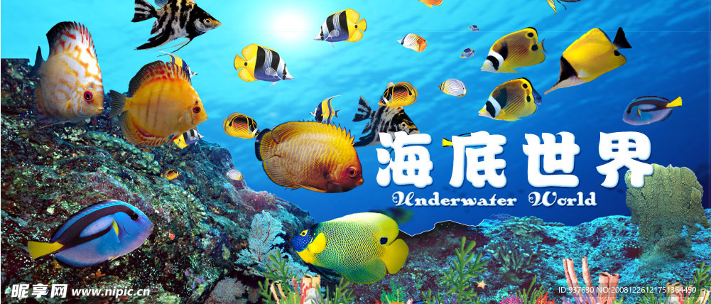 海底世界