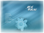 婚礼的祝福