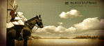 2009地产专家