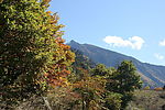 山水风景图