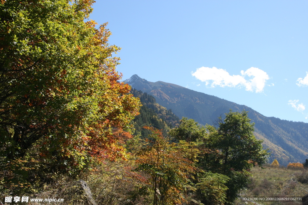 山水风景图