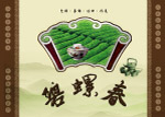 碧螺春