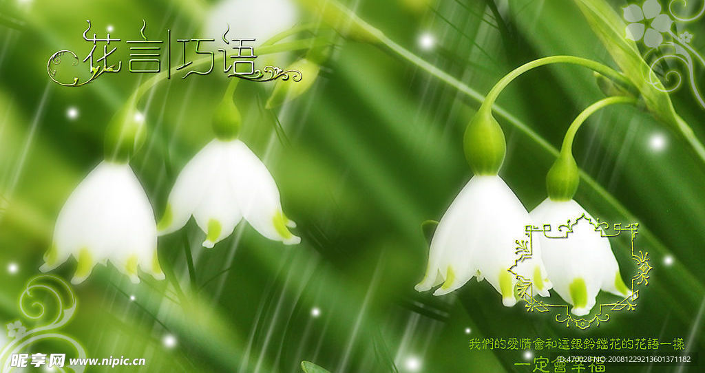 花言巧语
