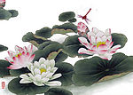 荷花