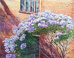 丁香花