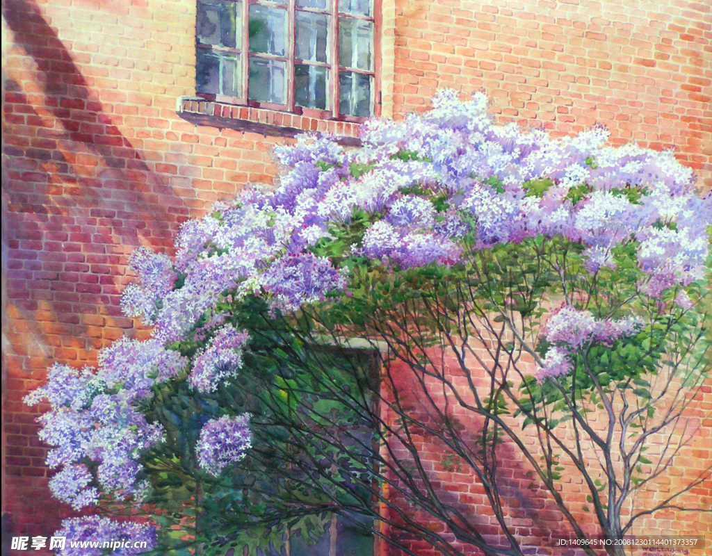 丁香花