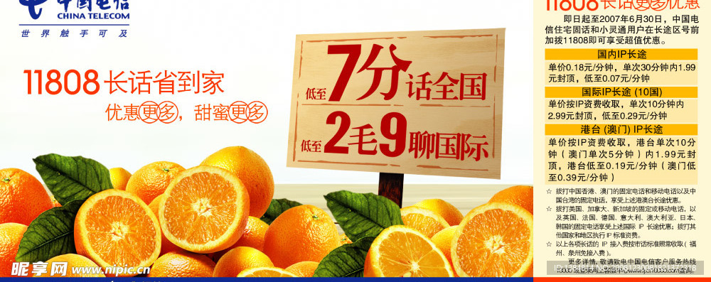 11808橙子篇