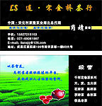 连宋金桥茶