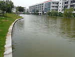绿水