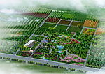 苗圃园林绿化效果图(鸟瞰)