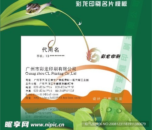 商务名片设计5