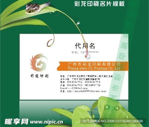 商务名片设计8
