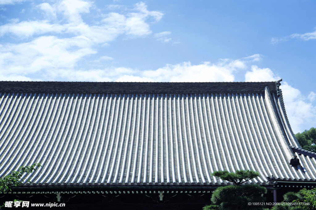 纽约建筑