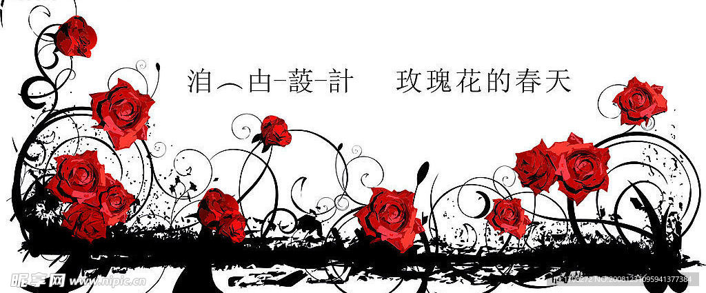 玫瑰花的春天