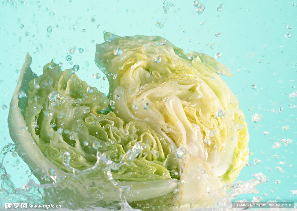 洗菜