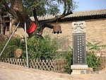 后沟古树
