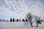 雪地