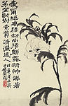 石涛 花卉册十帧 之六