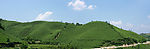 茶山