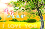 照片模版