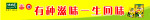 条幅