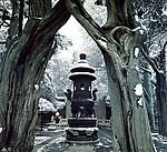 雪中寺庙香炉