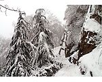 南京紫金山雪韵