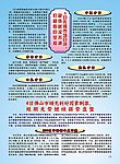 文章排版