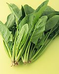 蔬菜类之菠菜