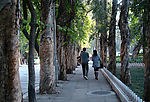 中大校道