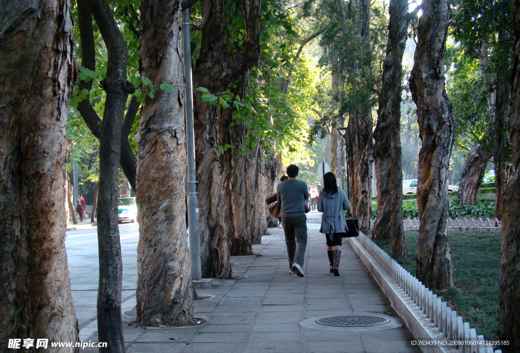 中大校道