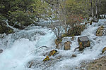 高山流水