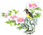 鸟恋