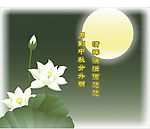 荷花明月