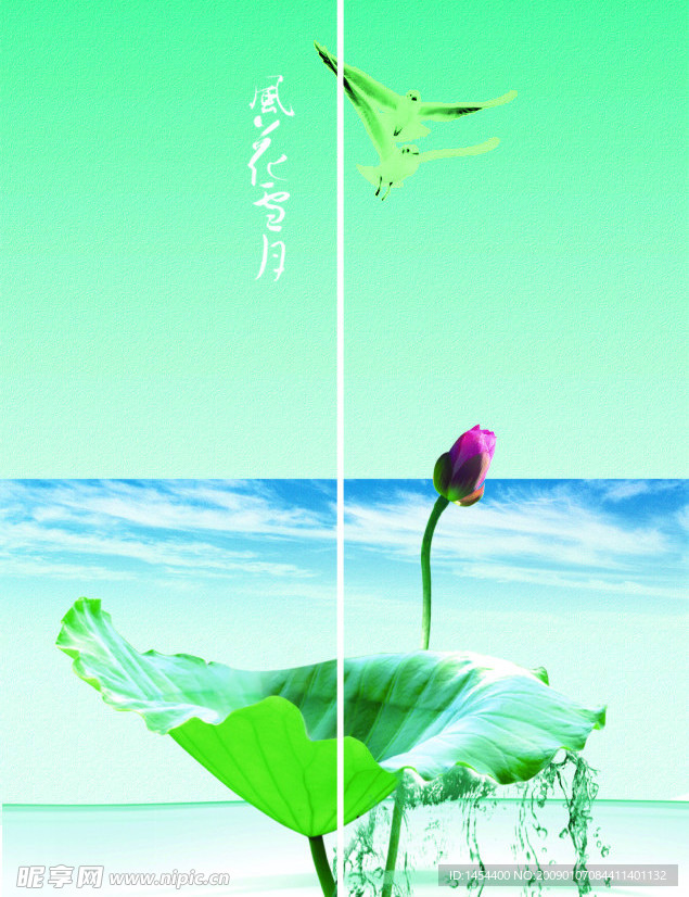 荷花 移门