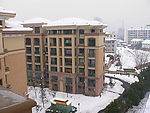雪景