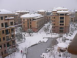 雪景
