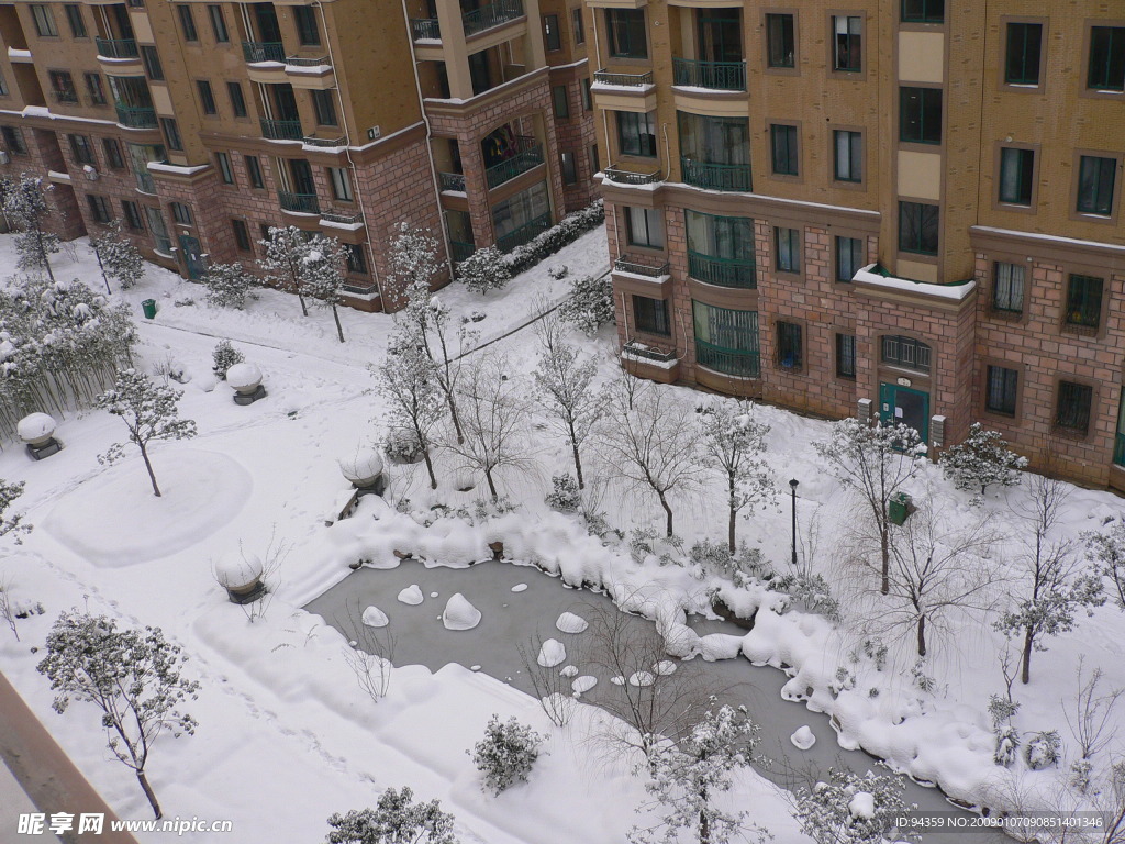 雪景