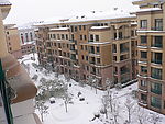 雪景