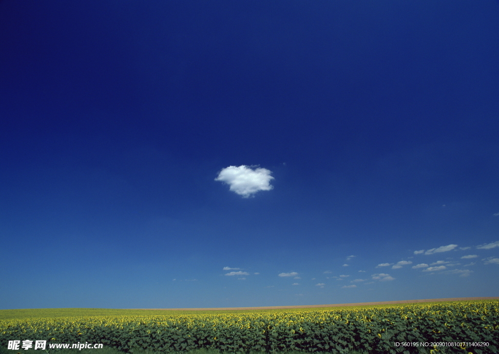 天空