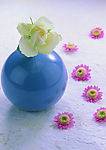 花艺摆设