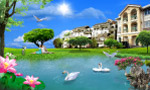 天鹅湖
